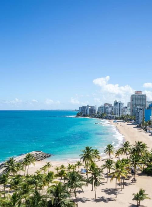 A city beach surrounded by palm trees, showcasing a vibrant urban landscape with sand and water.