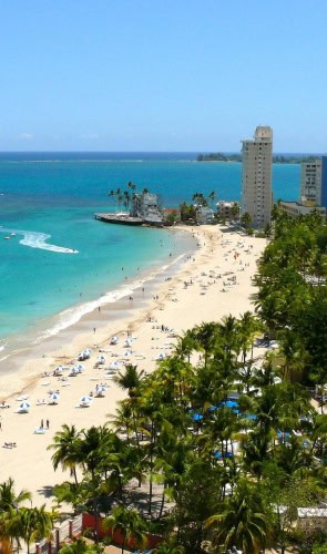 A serene beach scene featuring palm trees and soft white sand under a clear blue sky.
