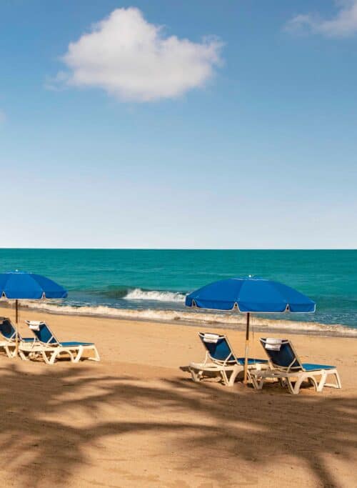 Colorful beach chairs and umbrellas arranged on a sandy beach under a clear blue sky.