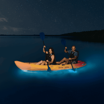 Two people paddling together in a kayak on a calm body of water surrounded by greenery.