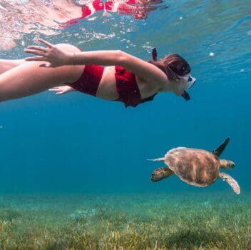 A woman in a red bikini swims alongside a turtle in clear blue water, enjoying a serene underwater moment.