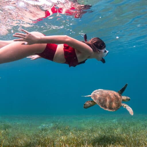 A woman in a red bikini swims alongside a turtle in clear blue water, enjoying a serene underwater moment.