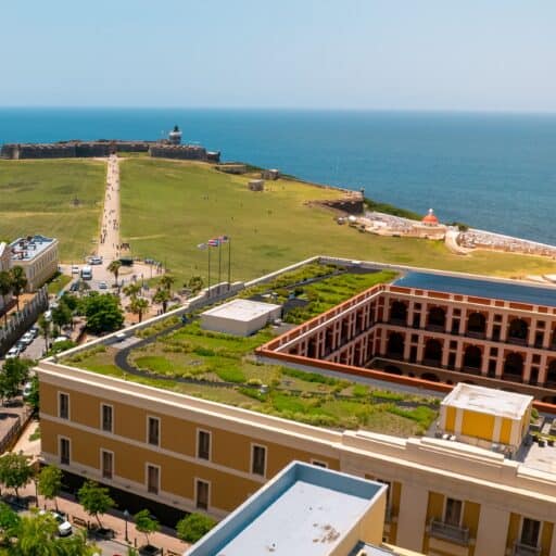 A green roof atop a building with a panoramic view of the ocean in the background.
