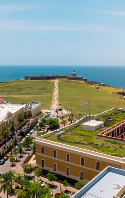 A green roof atop a building with a panoramic view of the ocean in the background.